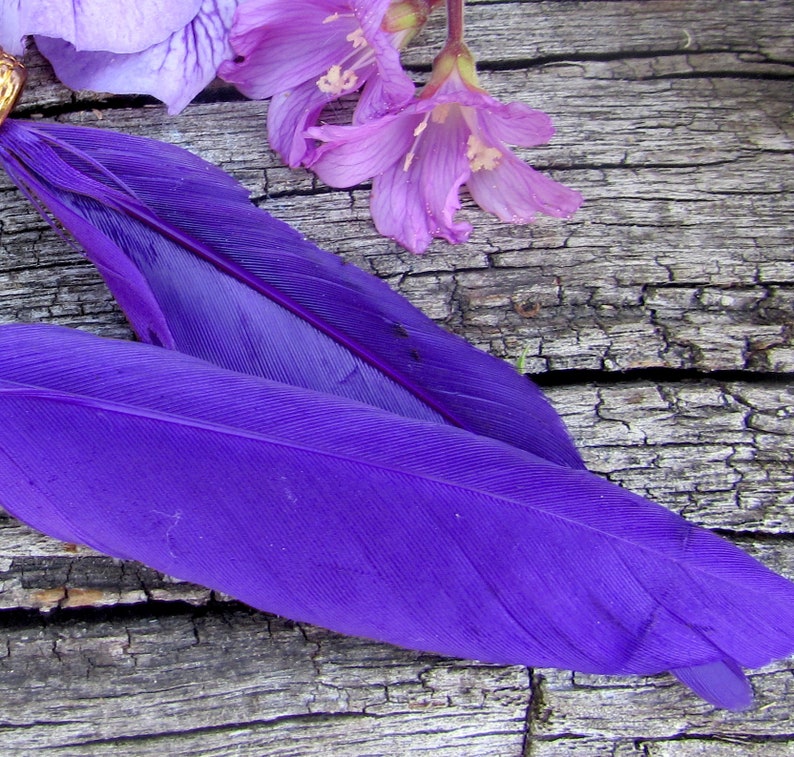 Purple Feather Gold Skull Blue Crystal Ball Beaded Necklace Etsy
