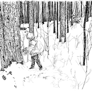 Sugarbush Pen & Ink Print