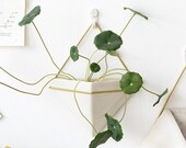 Geometric Hanging Planter, Geometric Planter, Hanging Terrarium Plant Hanger, Wall Vase Succulent Planter, Triangle Wall Planter Indoor
