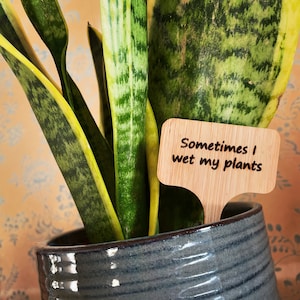 Quirky Laser Engraved Eco Friendly Bamboo Plant Markers, Aloe There, What The Fucculent, Dont Be A Prick, I Will Survive image 2