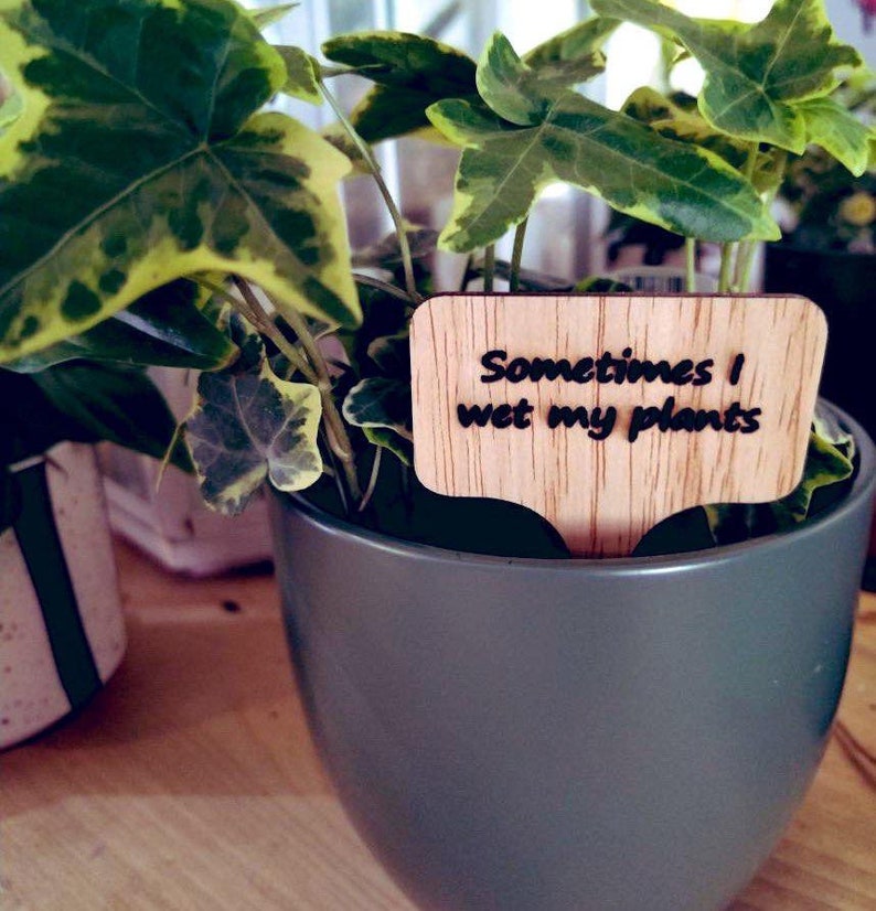 Quirky Laser Engraved Eco Friendly Bamboo Plant Markers, Aloe There, What The Fucculent, Dont Be A Prick, I Will Survive image 5