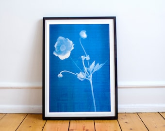 Könnte beinhalten: Ein gerahmter Cyanotypieabdruck einer weißen Blume vor blauem Hintergrund.