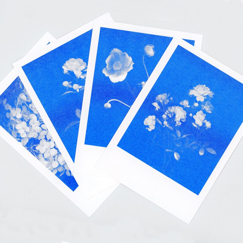 Blue-blooded Quartet 4 Floral Risograph Postcards by Mr and Mrs Rio