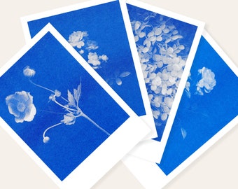 Quatuor Blue-Blood | 4 cartes postales florales Risograph par M. et Mme Rio