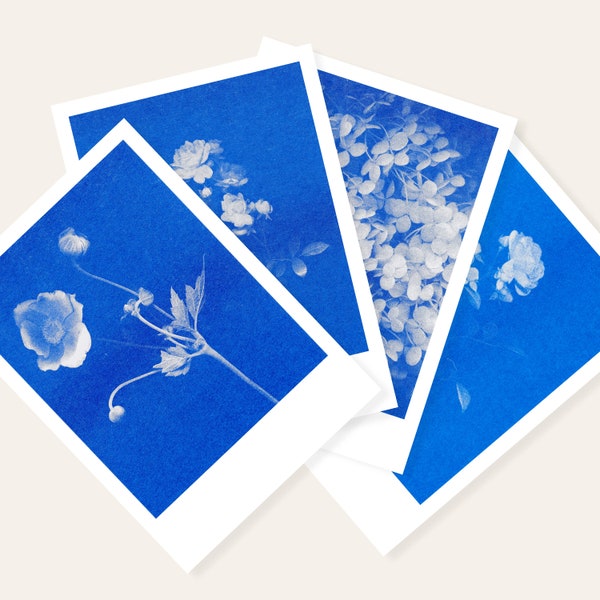 Blaublütiges Quartett | 4 Floral Risograph Postcards by Herr und Frau Rio