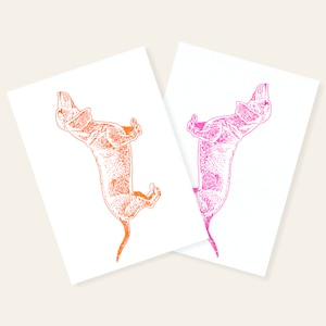 Sausage Dog | 2 Risograph Postcards by Herr und Frau Rio