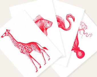 Red Zoo | 4 Monochrome Risograph Postcards