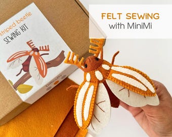 Felt Striped Beetle Sewing Kit, DIY [product], Beginner Friendly Craft Kit, Includes Materials, Step-by-Step Tutorial + Video guide