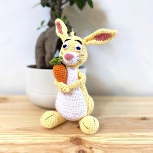 SCHEMA ALL'UNCINETTO:Schema coniglio,Schema PDF,Schema Amigurumi,Coniglio cartone animato,Scritta in inglese,Facile da seguire,Coniglietto pdf,Decorazioni pasquali,Pasqua
