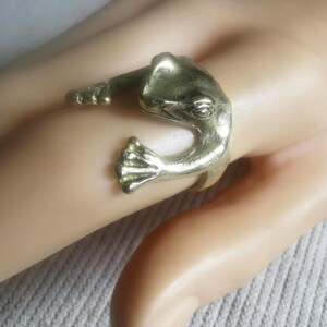 Könnte beinhalten: Ein goldfarbener Froschring. Der Frosch ist zusammengerollt, seine Beine sind um den Ringband gewickelt.