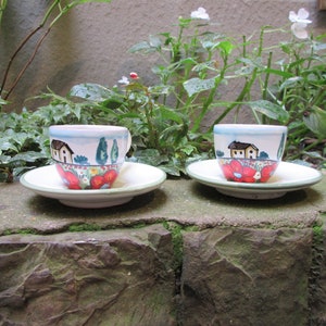 Tuscan espresso/demitasse cup & saucer set (2) handmade, hand-painted with fruits and flowers designs