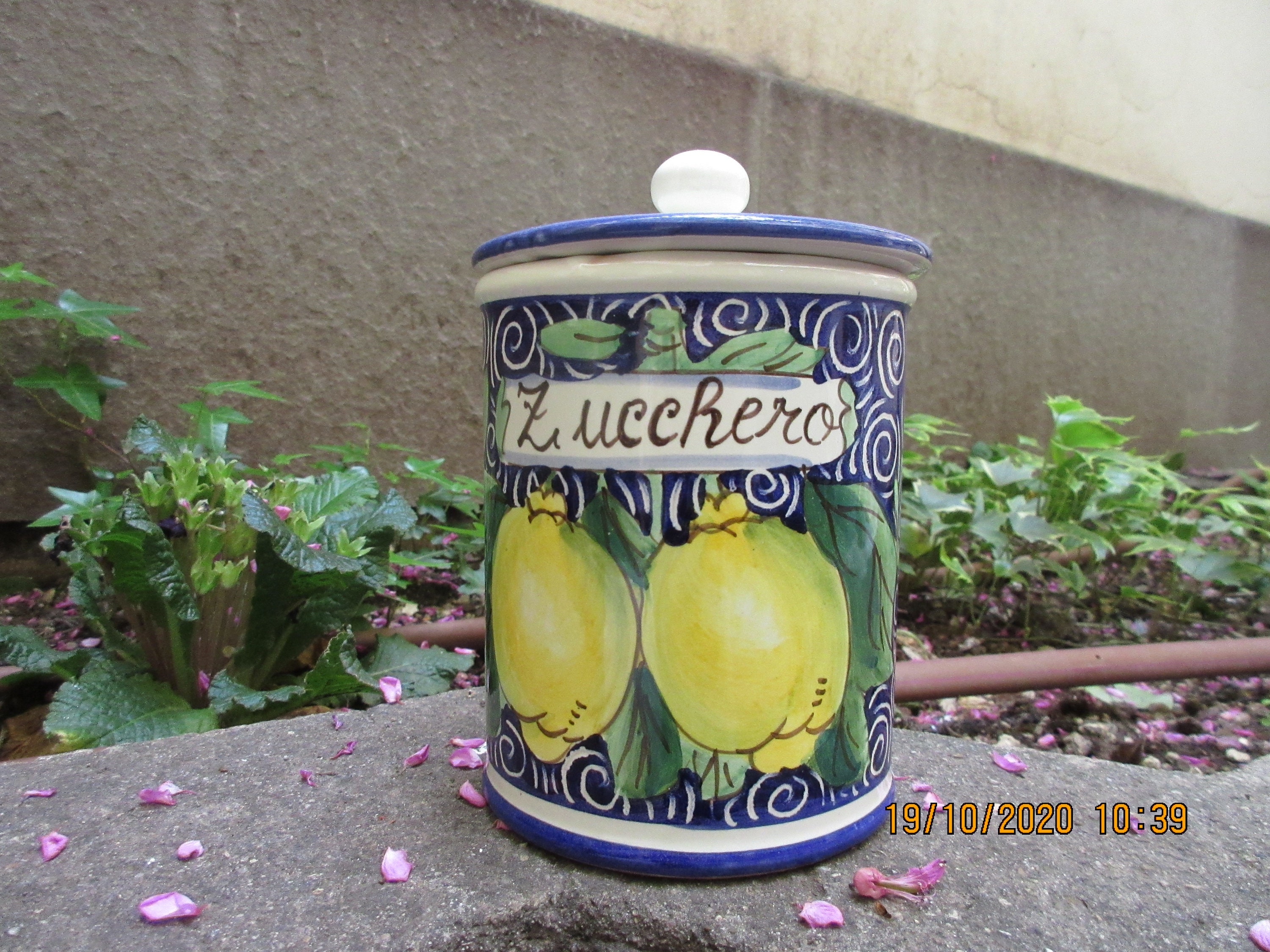 Zucchero Bowl - Etsy