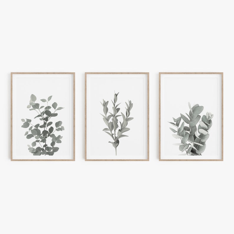 Eucalyptus Print Set Of 3 Wall Art Plant Prints Botanical