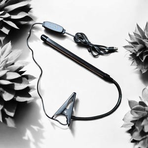 May include: A black flexible desk lamp with a clip on base and a long, thin light bar. The lamp has a small black switch with the text "2030" on it.