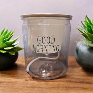 Peut inclure: Un pot de fleurs auto-arrosant en plastique transparent avec un intérieur blanc et un couvercle marron clair. Les mots "GOOD MORNING" sont imprimés en noir à l'intérieur blanc. Deux plantes succulentes vertes sont de chaque côté du pot.