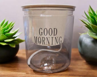 Vaso transparente autoirrigável: recipiente pequeno para plantas e suculentas