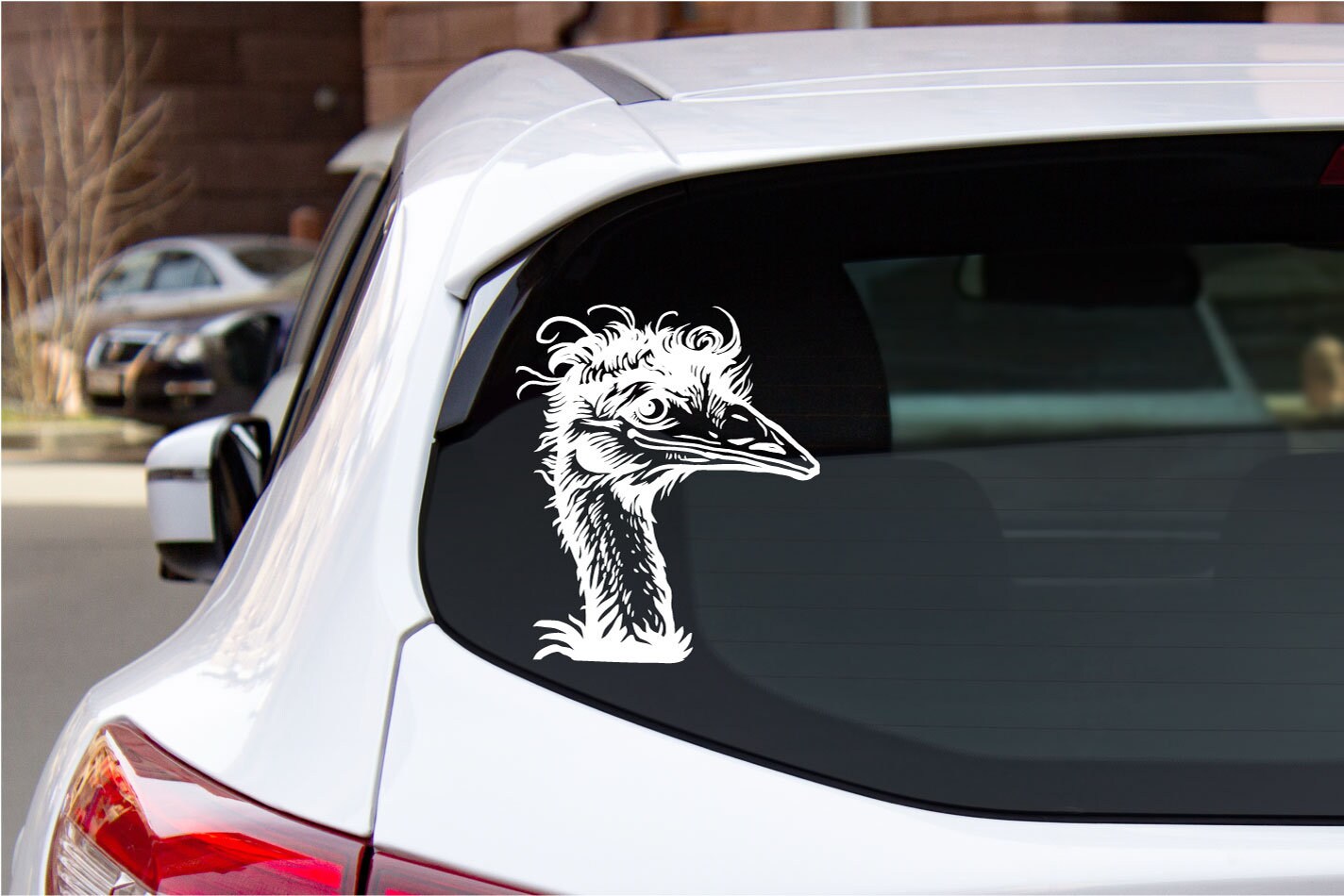 Emu Vinyl Wall Words Decal Sticker Car Home Decor Art | Etsy