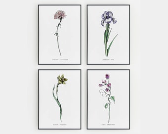 Birth Month Flower Print | Birthday Wall Art Gift | Ink Flower Illustrations