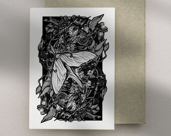 Luna Moth ink illustration Nature & Wildlife Prints | Posters | Postcards