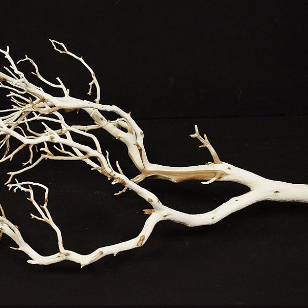 Free Shipping - Sandblasted Manzanita, 18" to 24"