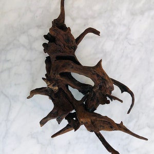 May include: A dark brown, intricately branched piece of driftwood with a unique, abstract shape. The wood has a natural, weathered look and is perfect for adding a rustic touch to any home decor.