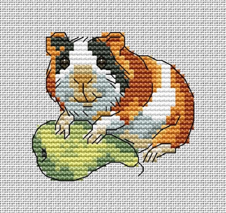 Хомячки схемы вышивки. Кларт морская Свинка схема. РТО морская Свинка. Вышивка крестом морская Свинка. Вышивка хомяка крестиком.