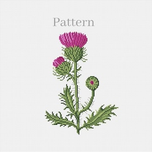 Thistle cross stitch pattern Outlander embroidery pattern Cross stitch wild flowers