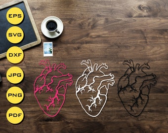 Human Heart Svg Etsy