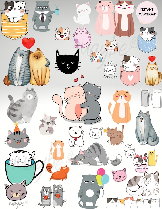 soft pfp <3  Cats, Funny cat wallpaper, Funny cat photos