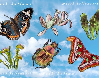 Illustrated Insect Vinyl Sticker Sheet Art High Quality Butterfly Moth Mantis Carnivorous Plant