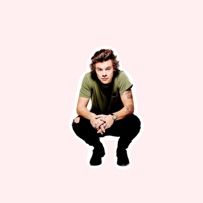 Harry Styles Sticker Laptop Decal Vsco Sticker Free Etsy