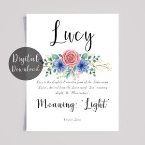Lucy Personalised Name Meaning Printable with Pink Blue Flowers and Calligraphy