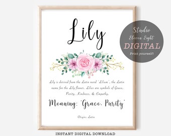 Lily Name Meaning Pink Floral DIGITAL DOWNLOAD, Lily name printable,  Name Origin, Nursery Art, Girls Personalised Gift for lily