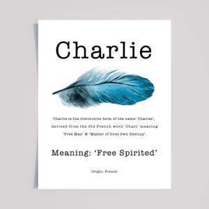 CHARLIE Personalised Name Meaning Print with Blue watercolour Feather and typewriter font, Charlie Personalised name gift, Charlie wall art