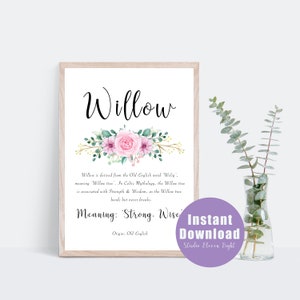Willow Name Meaning Pink Floral Digital Print , Instant Download, Girls Nursery,  Personalised Name Prints and Gifts, A4, 8x10, 11x14, 16x20