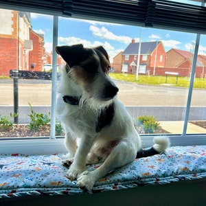 Op de afbeelding: Een Jack Russell Terrier zit op een vensterbankkussen. Het kussen is wit met een kleurrijk patroon van honden, botten en pootafdrukken. De hond heeft een zwart-witte vacht en kijkt uit het raam.