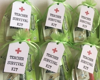 ASSEMBLED Back to School Emergency Kit, Assembled Teacher Emergency Kits, Student Survival Kits, 1st Day of School Survival Kits, School Bag