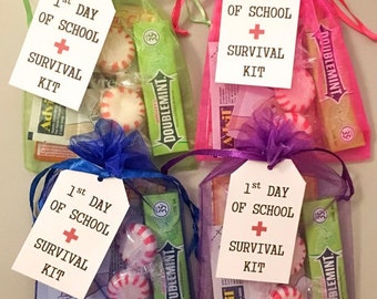 Student Care Package, Student Survival Kit, Student Emergency Kit, Teacher Emergency Kit, Pre-School Teacher Gift, School Staff Member Kit