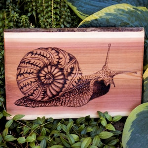 Pyrography On Live Edge Wood | Wood Burning | Wood Burned Scenery | Wildlife | Wood Art | Wall Hang | Wall Art | Housewarming Gift | Decor