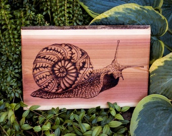 Pyrography Snail Wood Art | Wood Burning on Live Edge Fir
