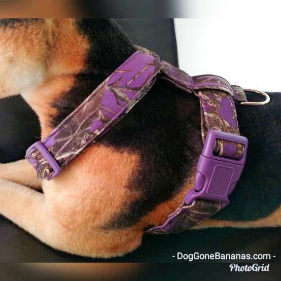 camo dog harness and leash