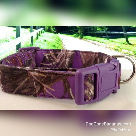 purple camo collar