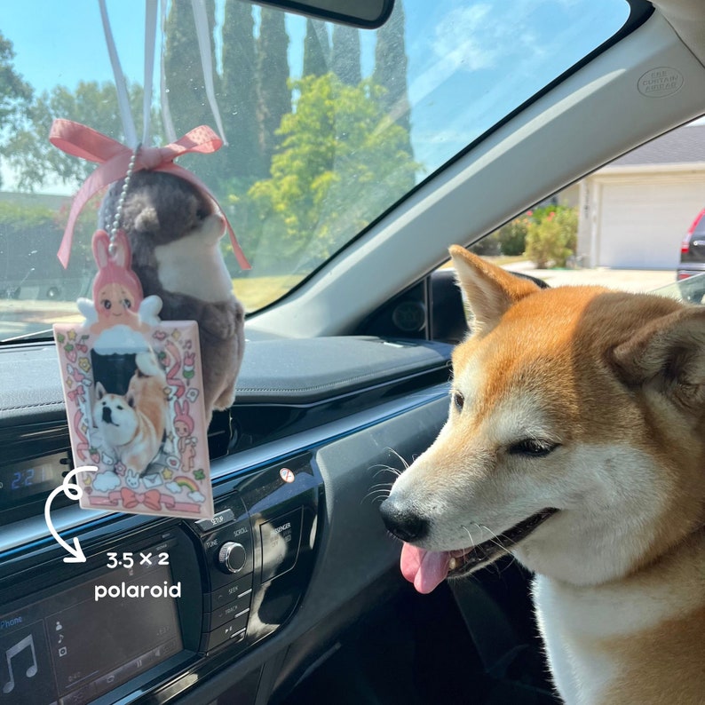 Op de afbeelding: Een roze en witte autohanger met een 3,5 x 2 inch polaroid foto van een hond. De hanger hangt aan de achteruitkijkspiegel van een auto. Een Shiba Inu hond kijkt naar de hanger.