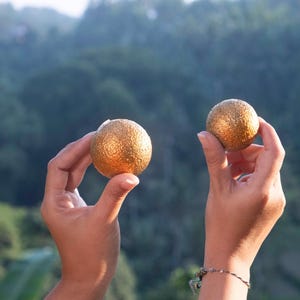 May include: Two spherical ornaments with a textured, metallic gold finish. Each round object features a granular surface that catches the light, creating a shimmering effect. The items are held up against a blurred natural outdoor background.