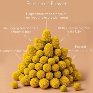 Pu&ograve; includere: Primo piano di una collezione di fiori gialli di Paracress, disposti a forma di piramide, su uno sfondo marrone chiaro. Il testo evidenzia le propriet&agrave; anti-et&agrave;, l'origine biologica e il contenuto di antiossidanti del fiore.