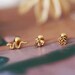 Rose, Bee or Snake Studs - Made with Gold Coloured Titanium Steel - 1mm/18 Gauge Screw Back Barbells - Helix Tragus Conch -SOLD INDIVIDUALLY 