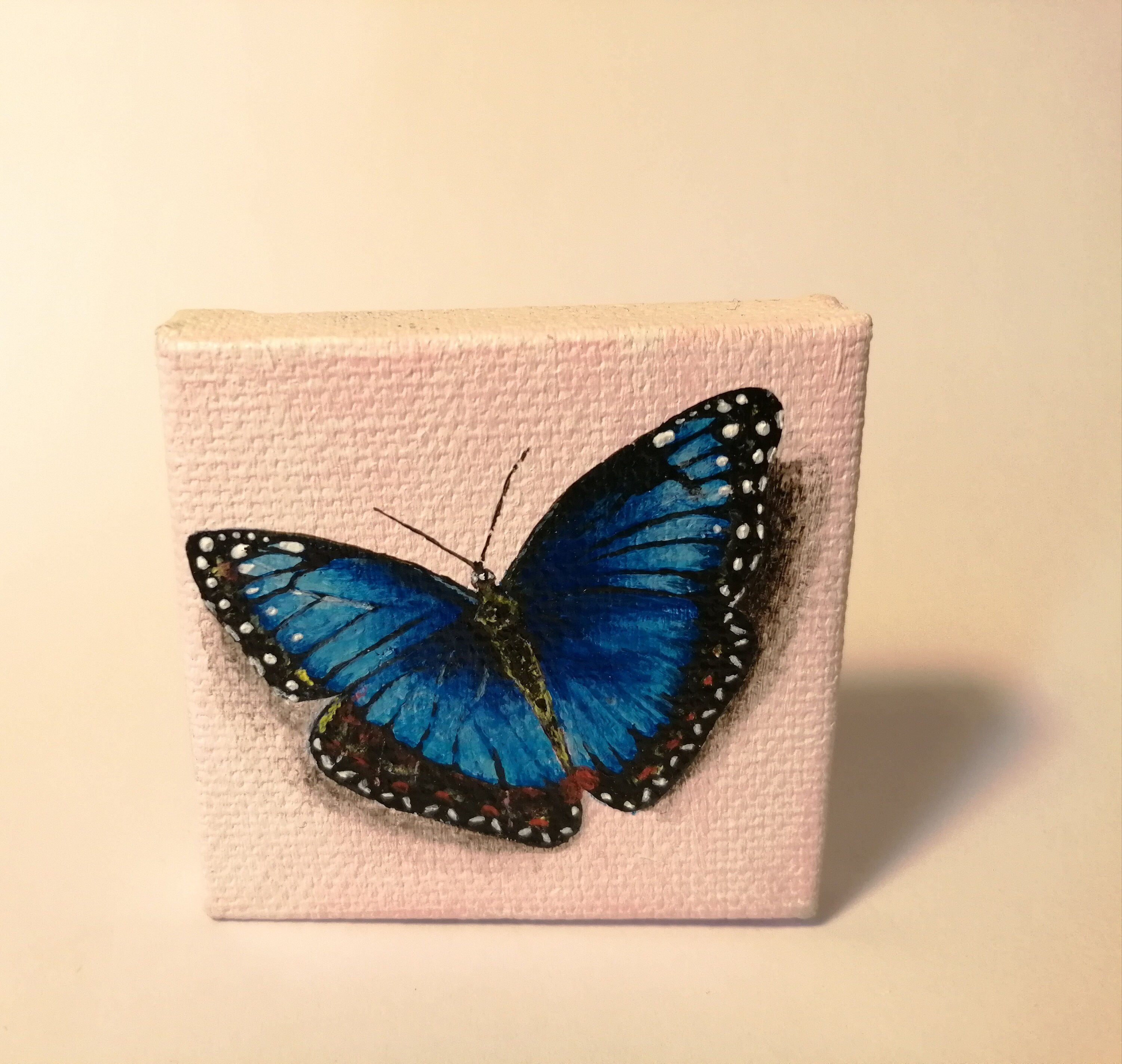 Blue Morpho Butterfly Tiny Painting Etsy