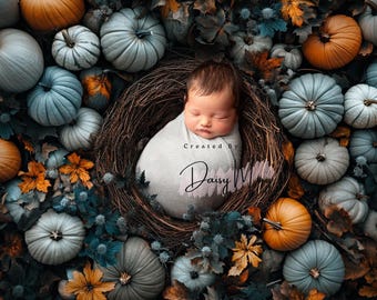 Newborn Digital Backdrop, Blue Pumpkin Halloween composite Background
