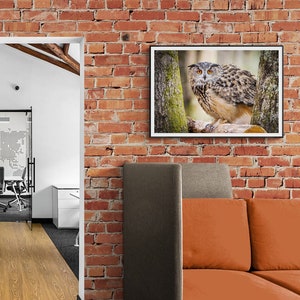 Owl Fine Art Print Photograph   Eurasian Eagle Owl Photo Photography Portrait Lustre Fine Art Metal Canvas Rustic Wildlife Wall Art Nature