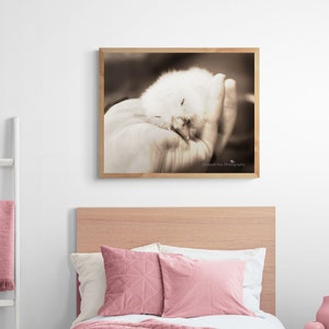 Barred Owl Fine Art Photograph Print Photo Nestling Owlet Sepia Portrait Unique Gift Giclee Metal Lustre Nursery Bedroom Baby Animals Wild